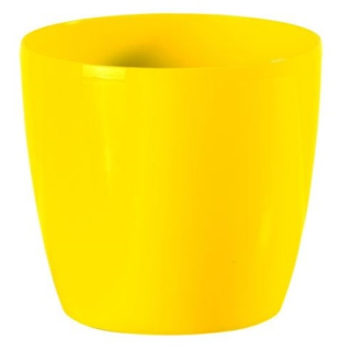 Bigplast Stars 30 cm / ZL
