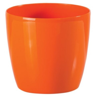 Bigplast Stars 30 cm / O