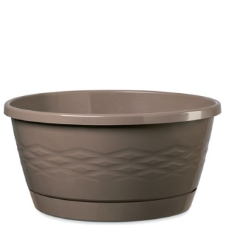 Erba Nuova Alfa 32 cm SB