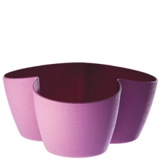 Erba Asso 3x10 cm F