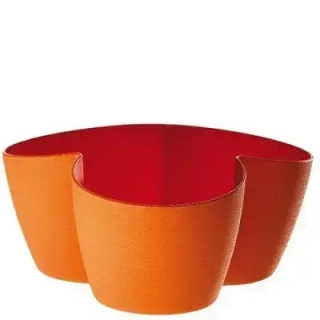 Erba Asso 3x10 cm O