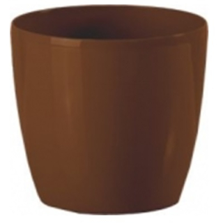 Bigplast Stars 7 cm /H