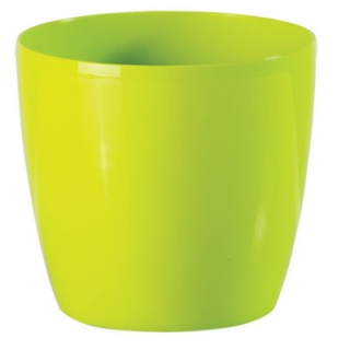 Bigplast Stars 7 cm /SZE