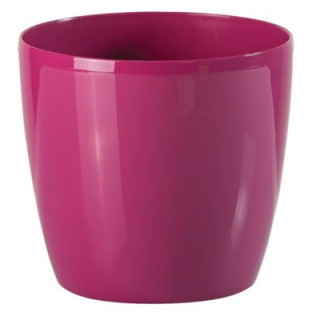 Bigplast Stars 10 cm /R