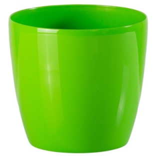 Bigplast Stars 12 cm /ZE