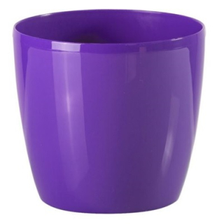 Bigplast Stars 20 cm / F