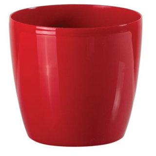 Bigplast Stars 25 cm / C