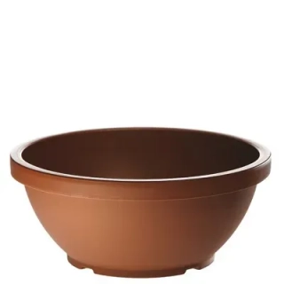Erba žardinka Star 40 cm /T