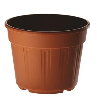 Erba Eurogarden 14 cm /T