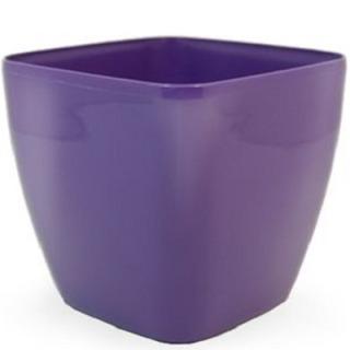 Bigplast Queens 14 cm F
