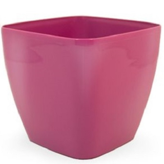 Bigplast Queens 14 cm R