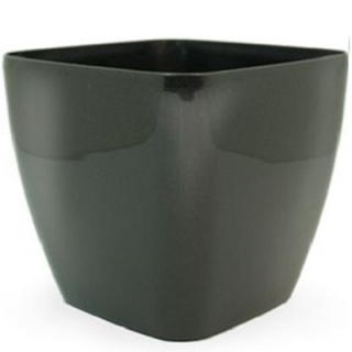 Bigplast Queens 18 cm CE
