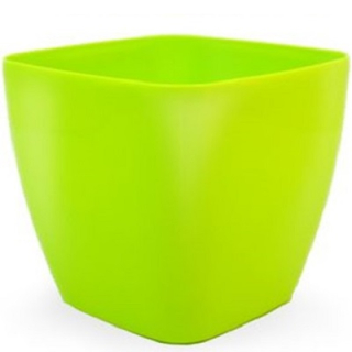 Bigplast Queens 18 cm SZE