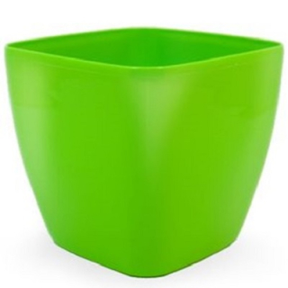 Bigplast Queens 20 cm ZE