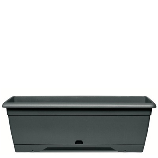 Erba Prime 60 cm A