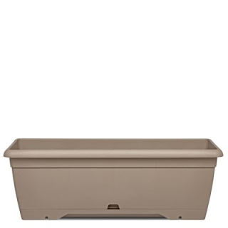 Erba Prime 60 cm SB