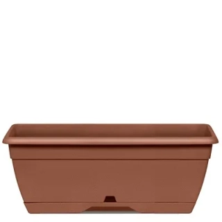 Erba Prime 60 cm T