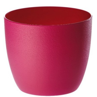 Erba Milano 11 cm Fu