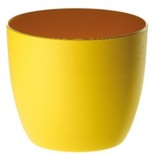 Erba Milano 11 cm ZL