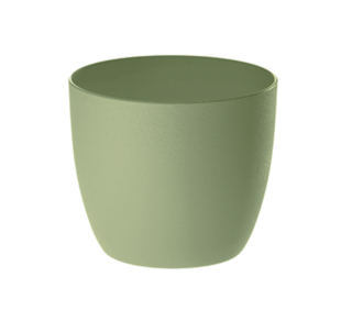 Erba Milano 15 cm SA