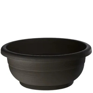 Erba Sigma 40 cm A