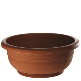 Erba Sigma 55 cm T