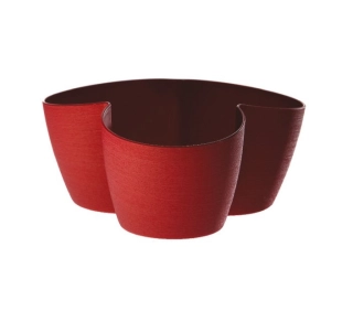 Erba Asso 3x10 cm C