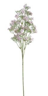Canea květ luční 70cm 1