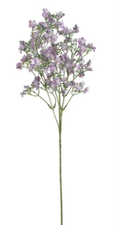 Canea květ luční 70cm 3