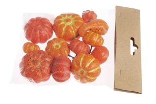 Canea Podzimní dekorace umělé dýně 12 ks, 2,5–5 cm